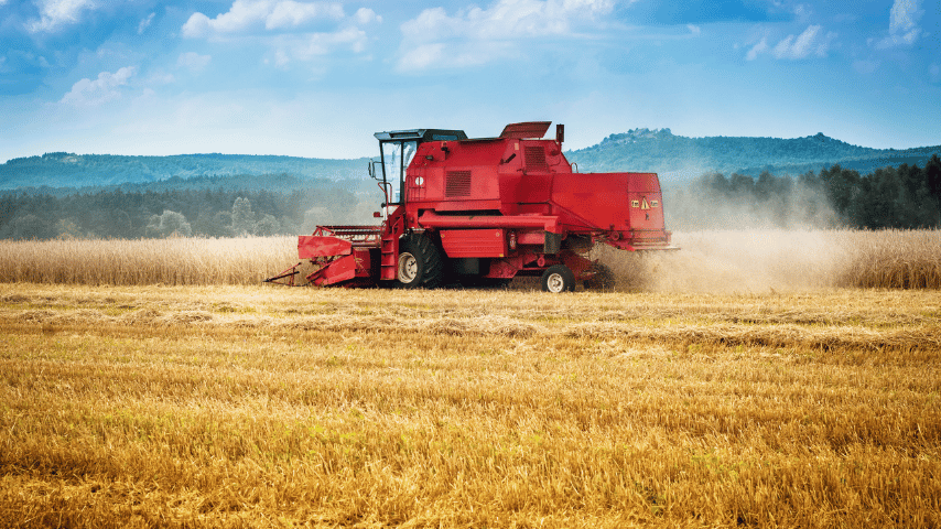 Harvesting of soybean field with combine harvester