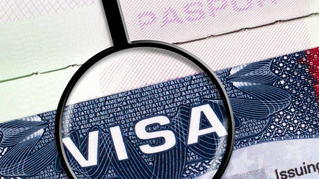 In-depth knowledge of Visa Categories
