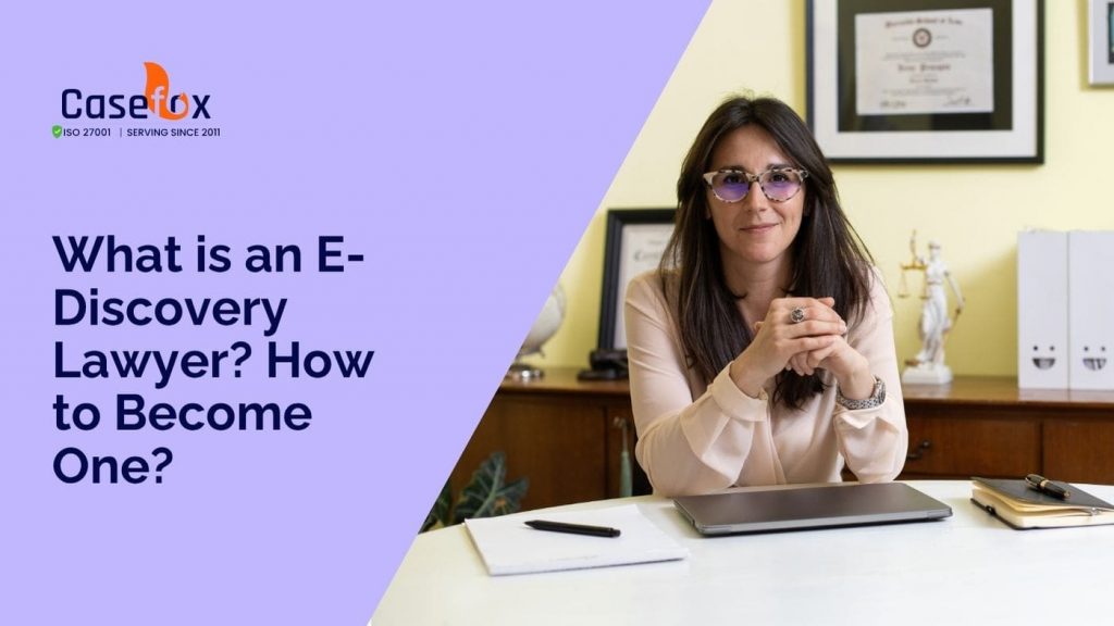 What is an e-discovery lawyer